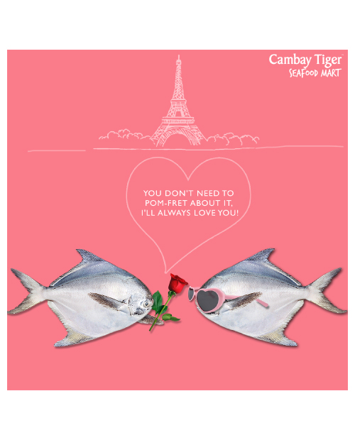 cambay-tiger-packaging
