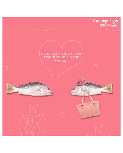 cambay-tiger-packaging
